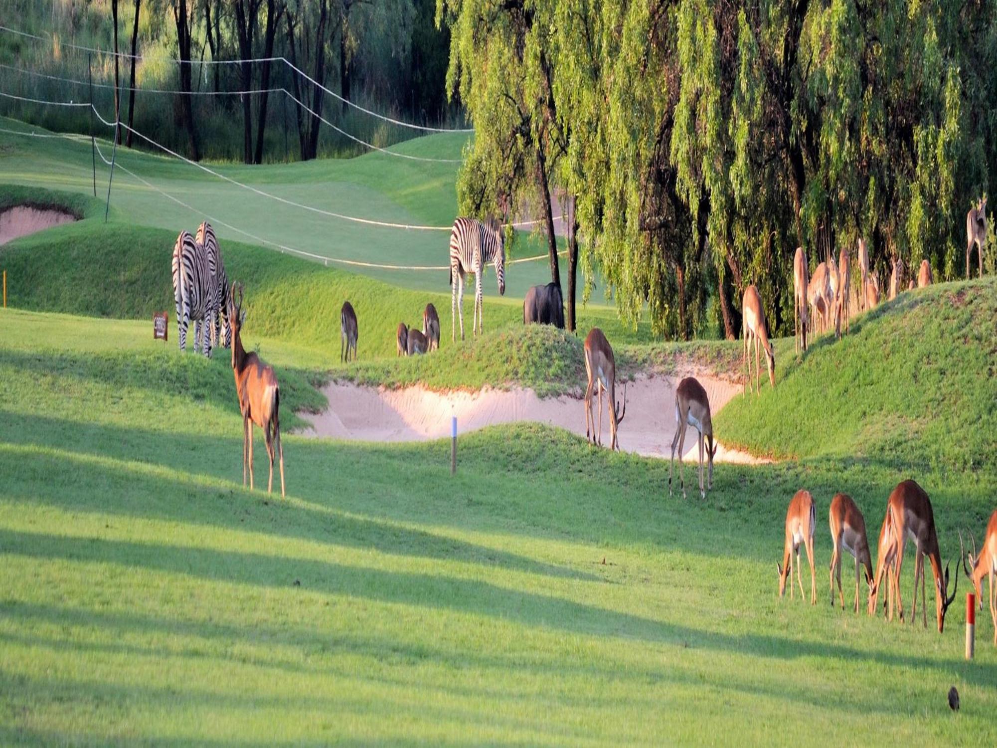 Elements Private Golf Reserve Bela-Bela Esterno foto